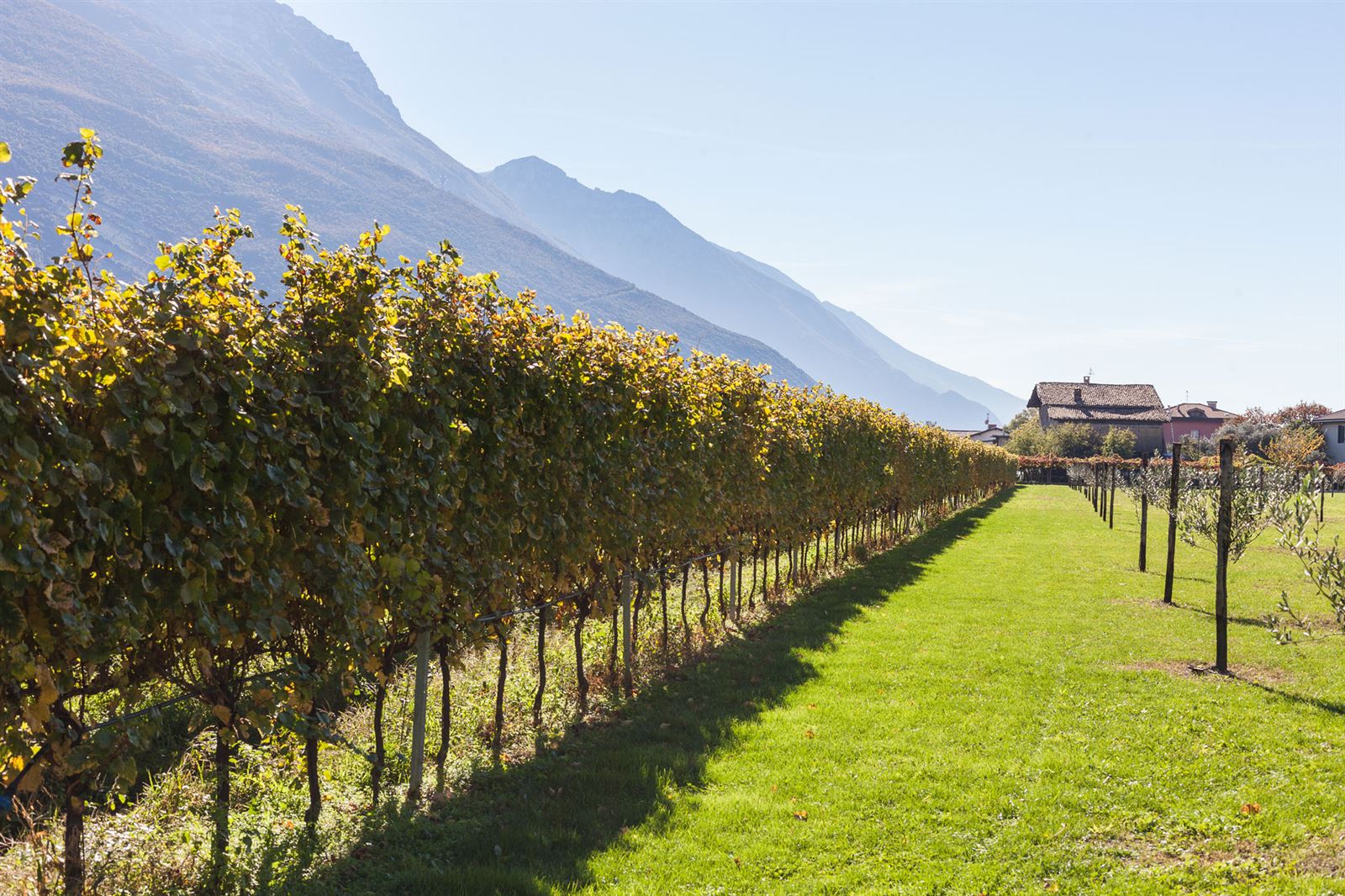 walk and taste mmove lago di garda gardasee lake garda trekking walk and taste mmove lago di garda gardasee lake garda trekking