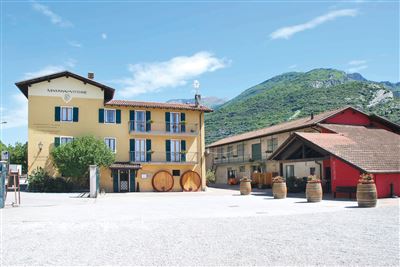 Walk and taste mmove lago di garda gardasee lake garda