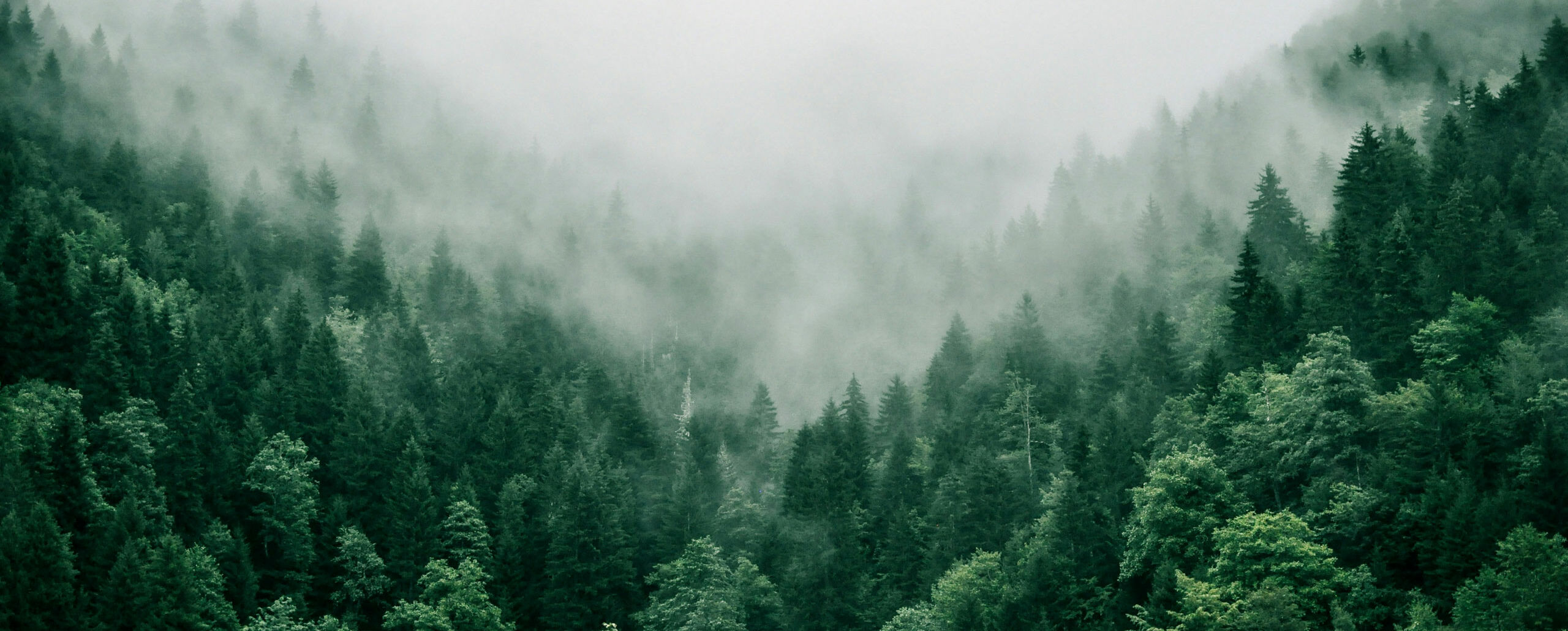 Attività Outdoor e Avventure in Trentino e sul Lago di Garda | Mmove FRIENDS OF ARCO SRL | Mmove for Nature
